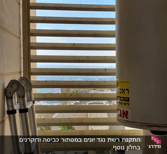סולם, רשת מתוחה, כלי עבודה על שולחן